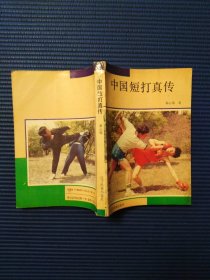 中国短打真传