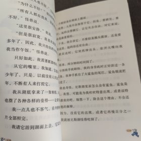 非常了不起的吹吹