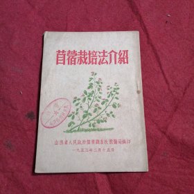 首蓿栽培法介绍