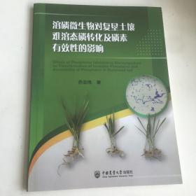 溶磷微生物对复垦土壤难溶态磷转化及磷素有效性的影响