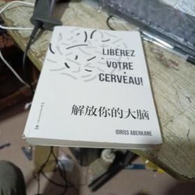 解放你的大脑：法国神经科学专家教你激荡脑力与创意