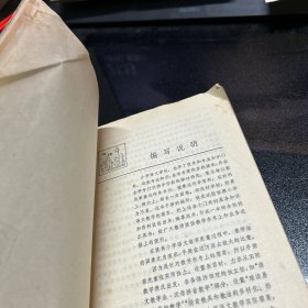 小学语文教师手册