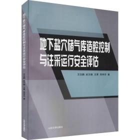 地下盐穴储气库造腔控制与注采运行安全评估