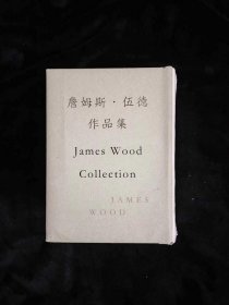 詹姆斯伍德作品集全6册 私货，小说机杼，真看，破格，不负责任的自我，最接近生活的事物