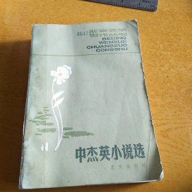 中杰英小说选 北京文学创作丛书