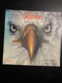 猛禽RAPTORS BIRDS OF PREY