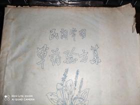 民间常用草药验方集