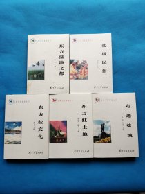 盐城文化旅游丛书（全5册）【书内干净】