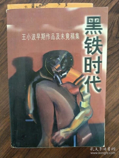 黑铁时代：王小波早期作品及未竟稿集