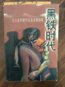 黑铁时代：王小波早期作品及未竟稿集