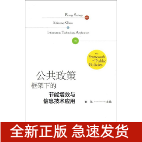 公共政策框架下的节能增效与信息技术应用