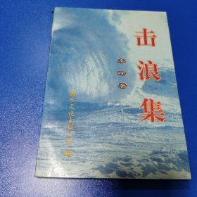 击浪集