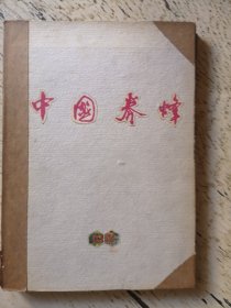 中国养蜂，1981年1~6册（自制合订本）