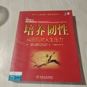 培养韧性：从容应对人生压力