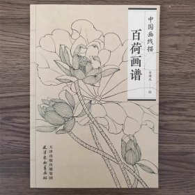 百荷画谱 中国画线描工笔画底稿白描花卉荷花图集 底稿临摹范本