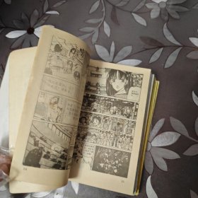 电脑骑士上下8册全