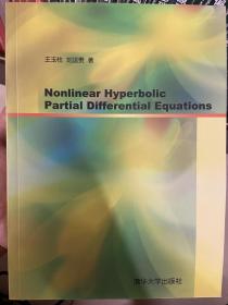 Nonlinear hyperbolic partial differential equations