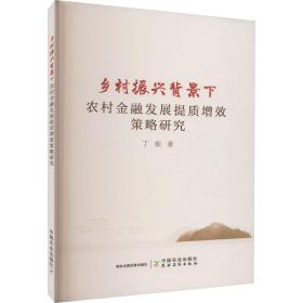 乡村振兴背景下农村金融发展提质增效策略研究 经济理论、法规 丁毅 新华正版