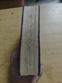 《基础英语词汇大词典》