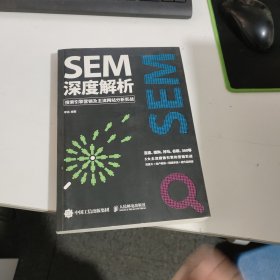 SEM深度解析 搜索引擎营销及主流网站分析实战