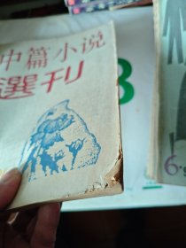 中篇小说选刊1991年 第3期