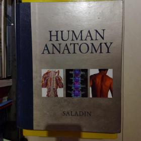 human anatomy人体解剖学