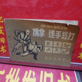 擒拿 连手短打