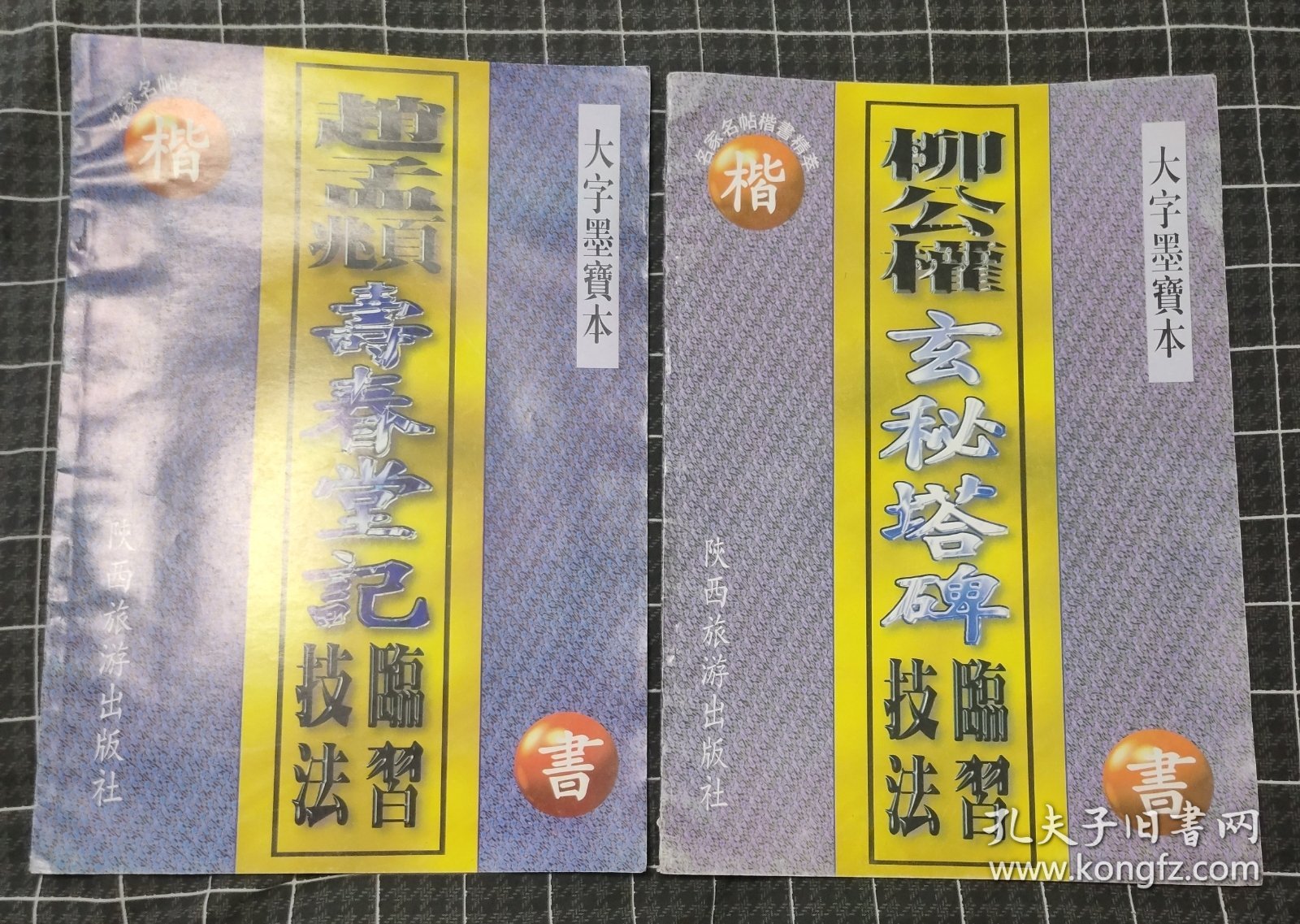 大字墨宝本--赵孟頫寿春堂记临习技法 柳公权玄秘塔碑临习技法（两本）