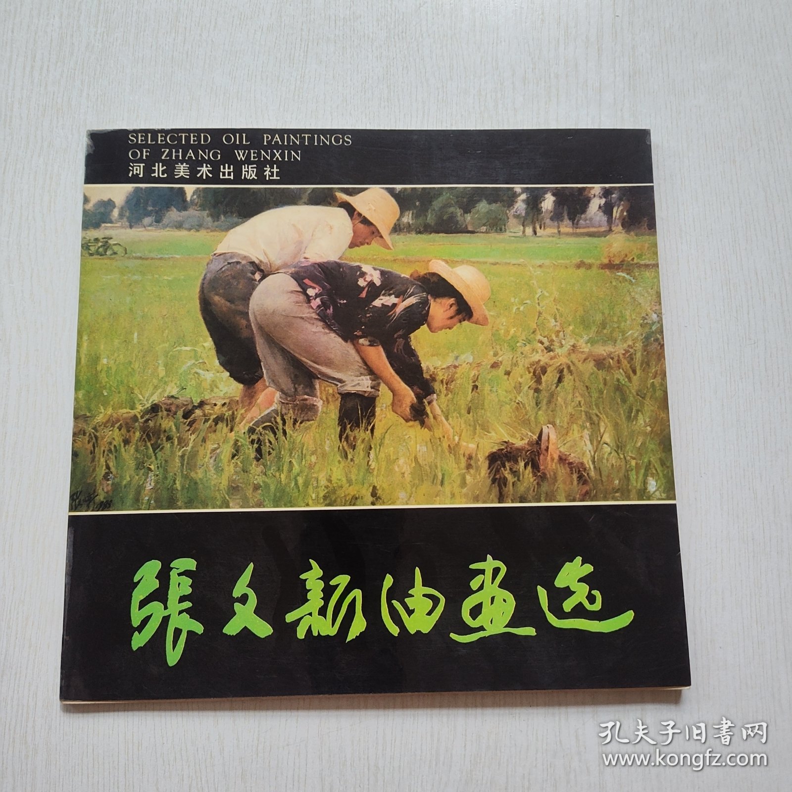 张文新油画选
