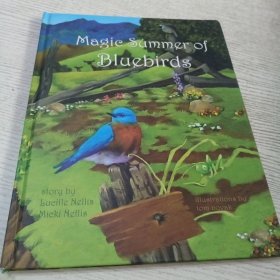 Magic &ummer of BIuebirds