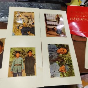 毛主席万岁水利电力部机关及在京直属单位活学活用毛泽东思想积极分子、四好连队、五好职工代表大会-毛主席万岁》共44张（原盒】（金色头像）