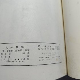人体素描