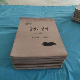 长篇小说手稿（不满的年代）韩文