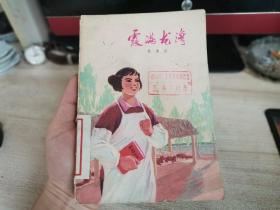 霞满龙湾，小说