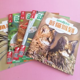 动物奇迹 杂志（5册）