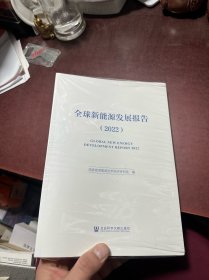 全球新能源发展报告（2022）