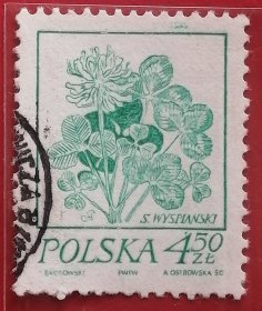波兰邮票 1974年 花卉 三叶草 6-6 信销