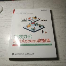 高效办公：玩转Access数据库