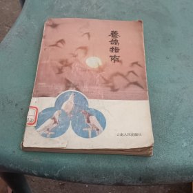 养鸽指南