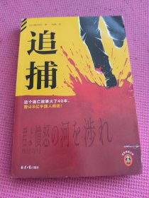 追捕 这个逃亡故事火了40年，曾让8亿中国人痴迷！80%的中国人看过的现象级日本电影原著！硬汉派作家西村寿行