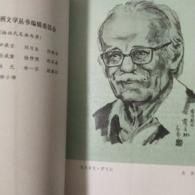 英雄与坟墓: 拉丁美洲文学丛书