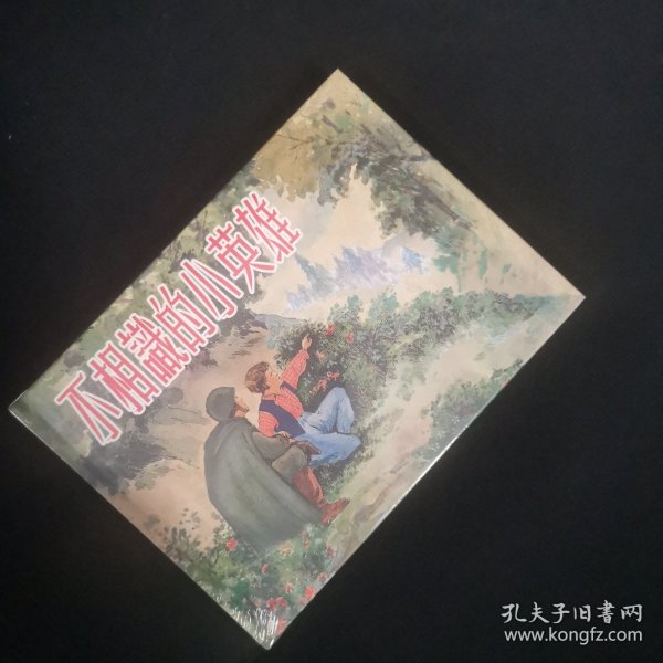 不相识的小英雄