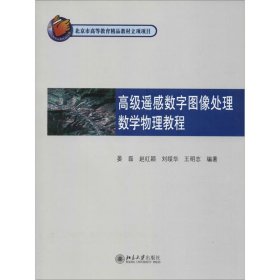 正版 高级遥感数字图像处理数学物理教程 晏磊 等 北京大学出版社