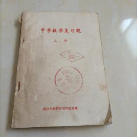 中學(xué)數(shù)學(xué)復(fù)習(xí)題（上冊(cè)）