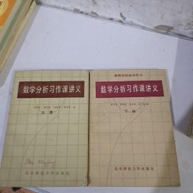 数学分析习作课讲义（上下册）