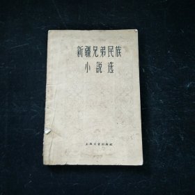新疆兄弟民族小说选