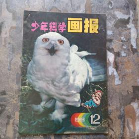 少年科学画报1983年第12期