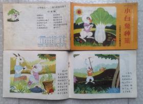 《小白兔种菜》1980年吉林人民出版社 彩色24开本连环画