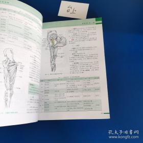 系统解剖学（第4版）