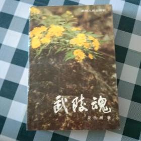 武陵魂
